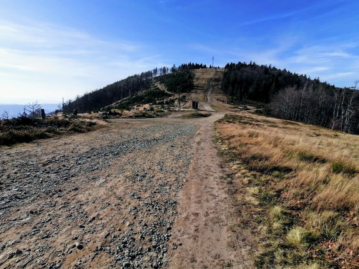Klimczok (1117 m n.p.m.) – szlaki, schronisko i atrakcje