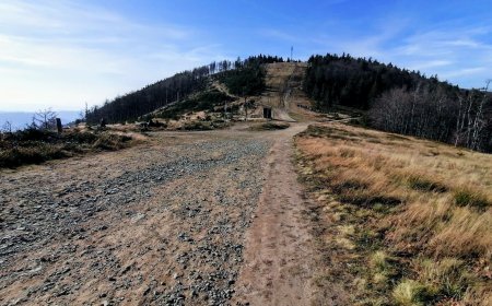 Klimczok (1117 m n.p.m.) – szlaki, schronisko i atrakcje