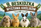 9 Beskidzka Wystawa Królików