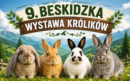 9 Beskidzka Wystawa Królików